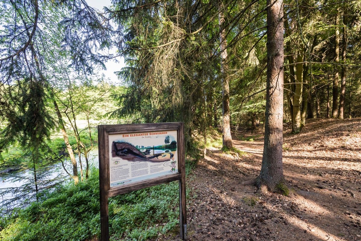 Am Fluss-Wald-Erlebnispfad