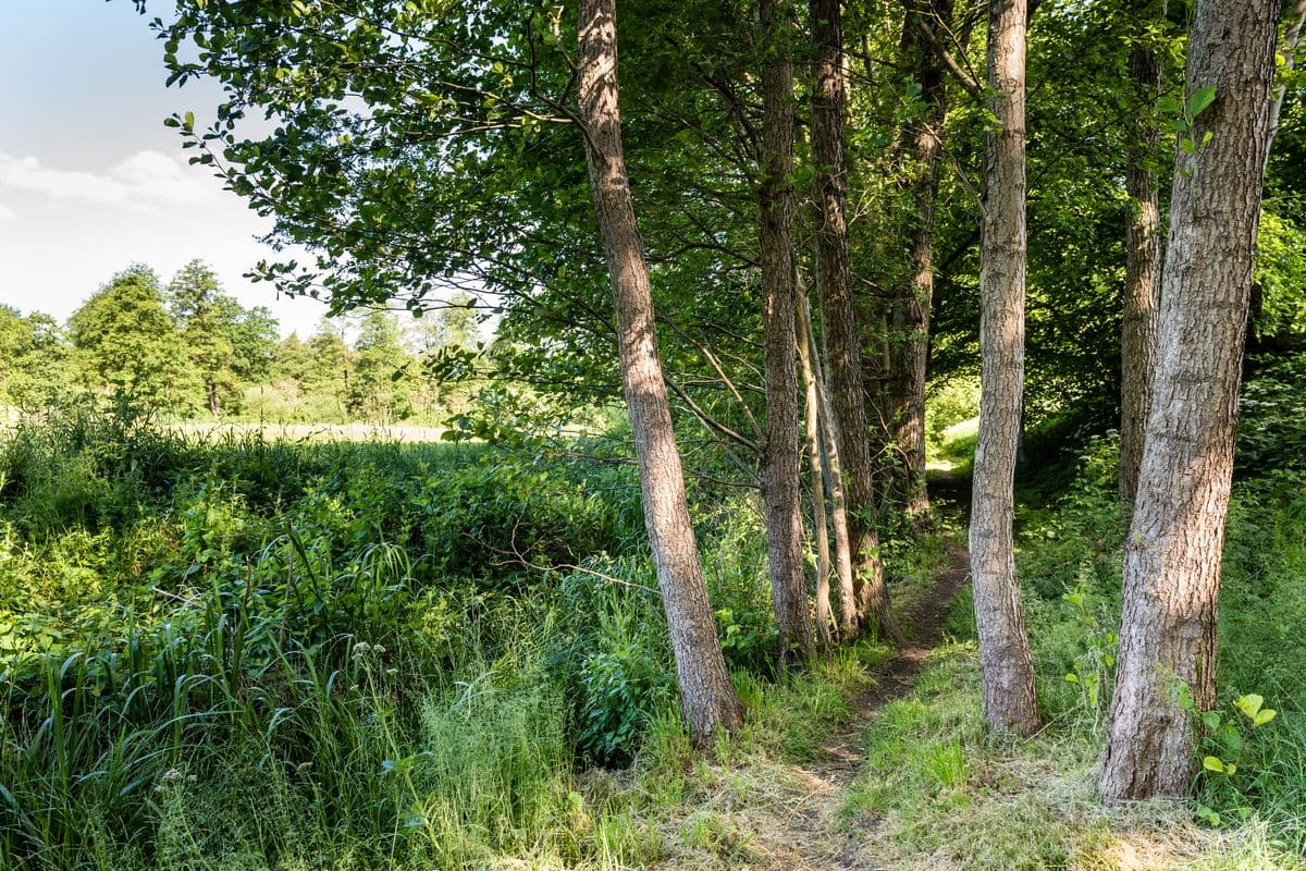 Am Fluss-Wald-Erlebnispfad