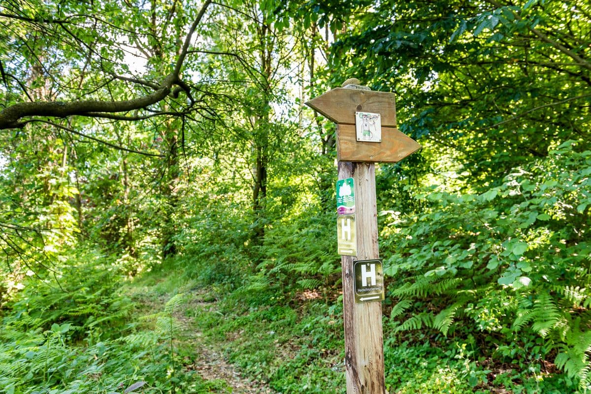 Wegweiser am Fluss-Wald-Erlebnispfad