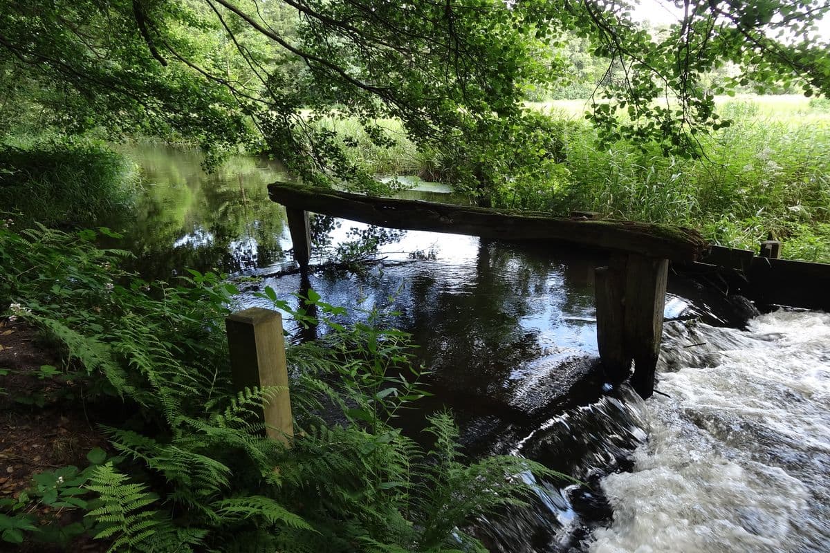 Fluss-Wald-Erlebnispfad entlang der Örtze