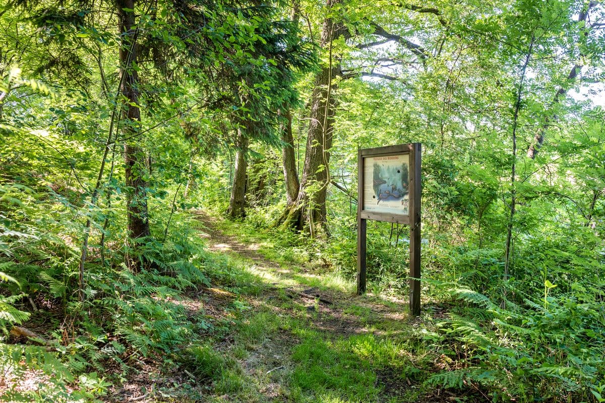 Infotafel am Fluss-Wald-Erlebnispfad