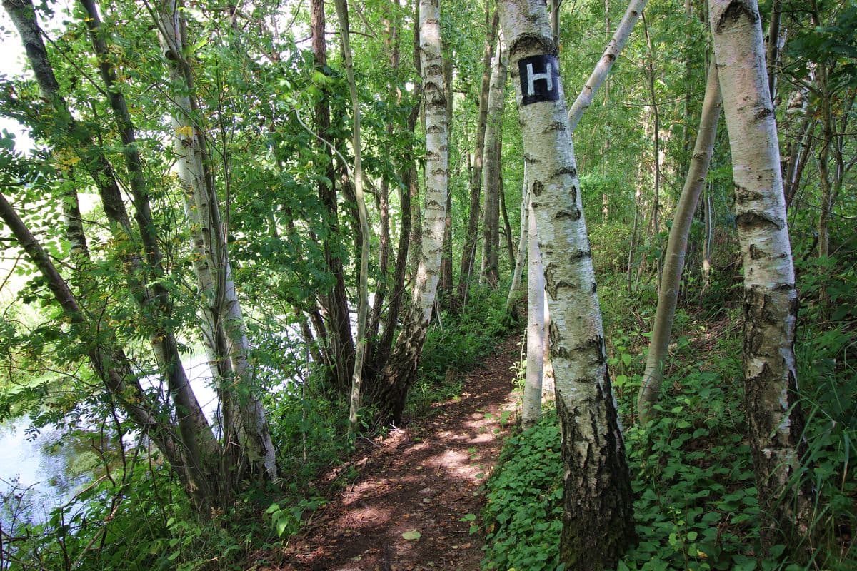 Wandern auf dem Fluss-Wald-Erlebnispfad