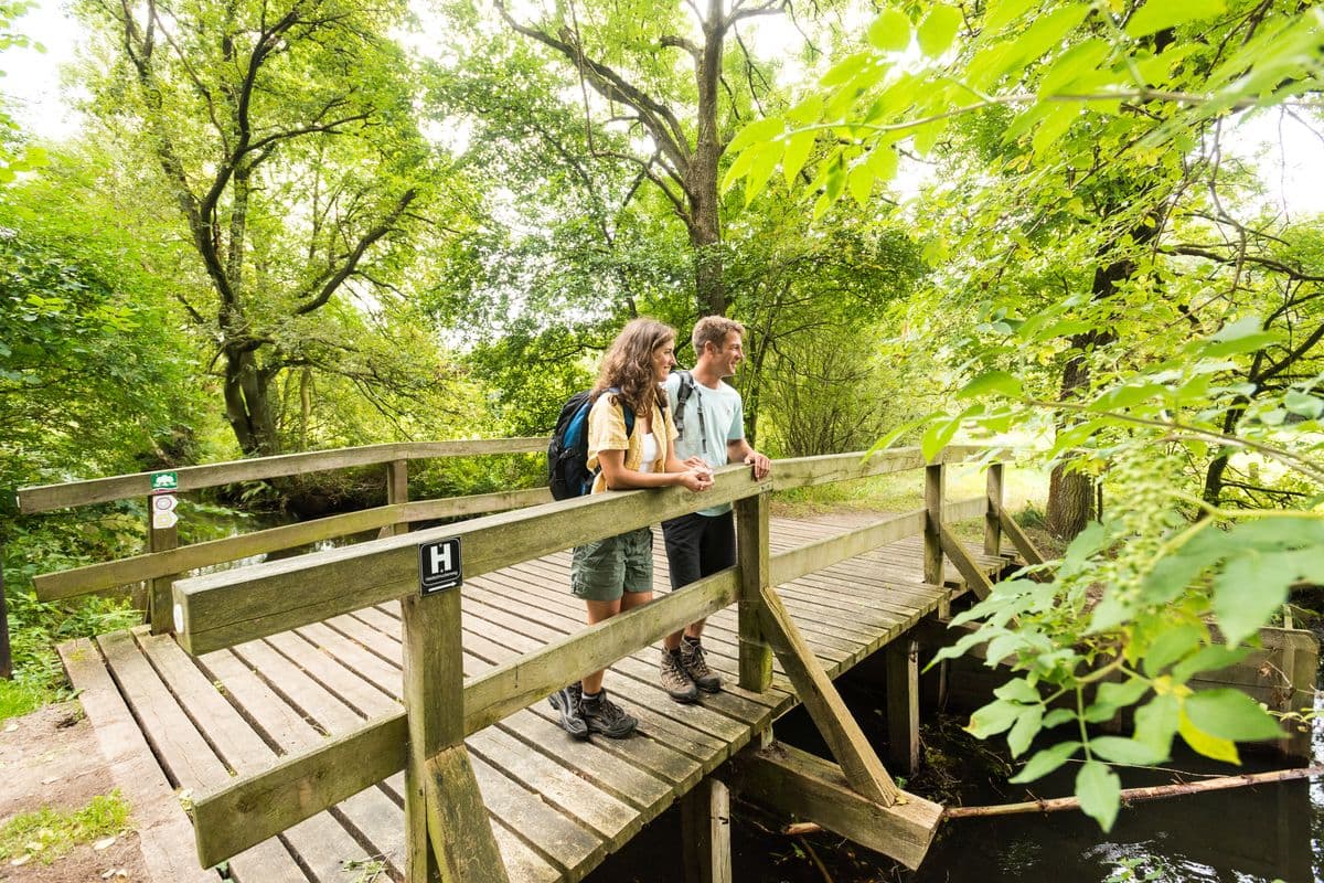 Wanderer auf dem Fluss-Wald-Erlebnispfad