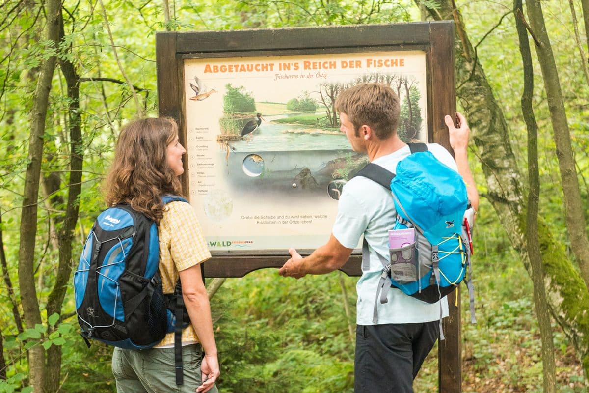 Wanderer auf dem Fluss-Wald-Erlebnispfad