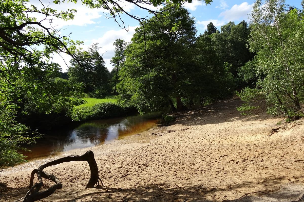 Fluss-Wald-Erlebnispfad entlang der Örtze