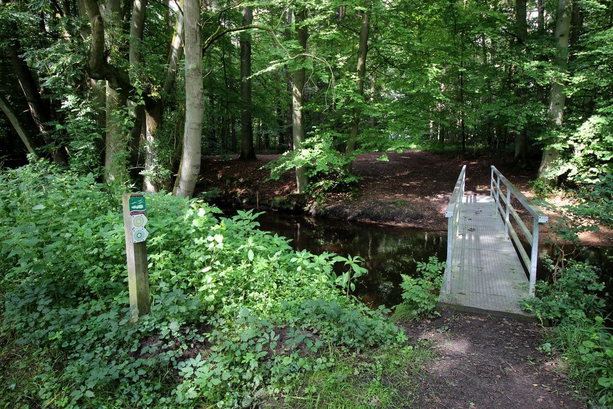 Am Heidebach Lutter