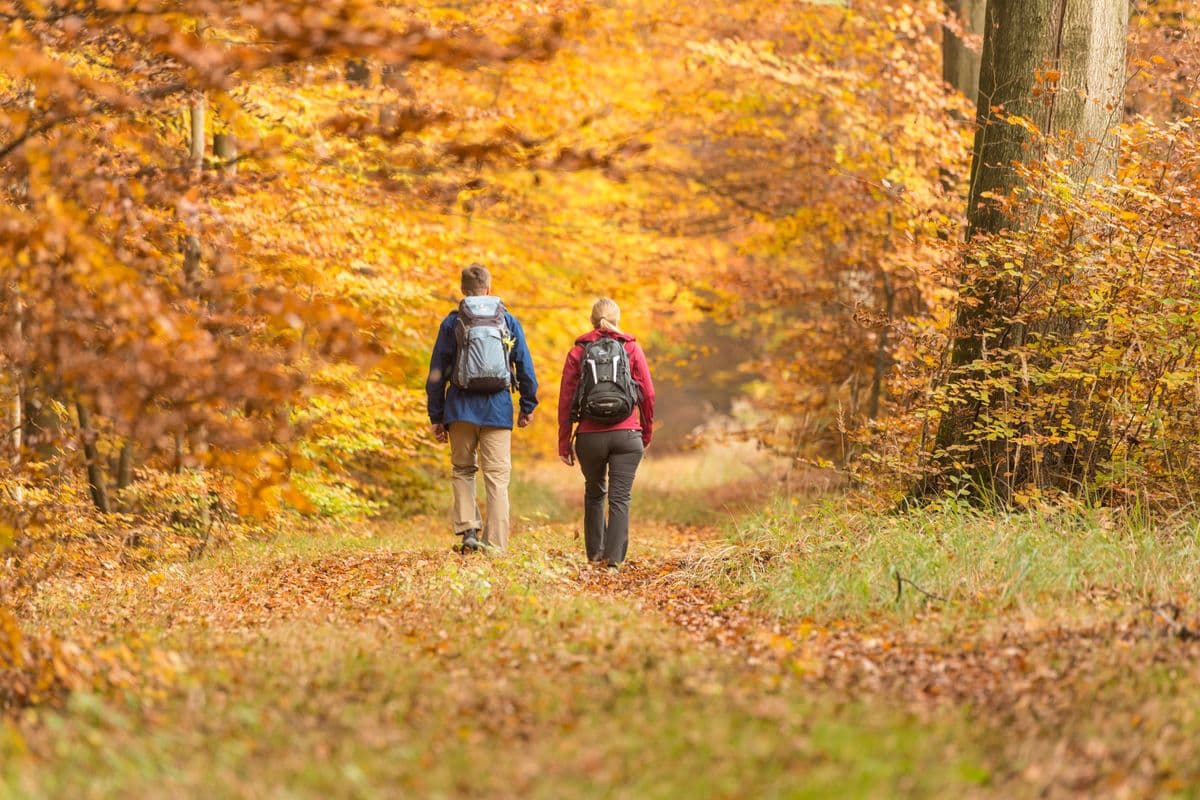 Wandern im Lüßwald