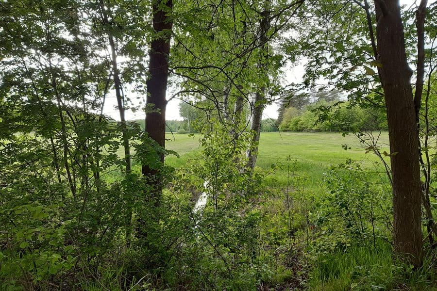 kleiner Graben