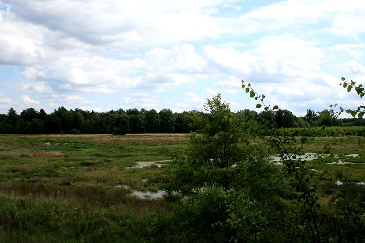 Das Postmoor