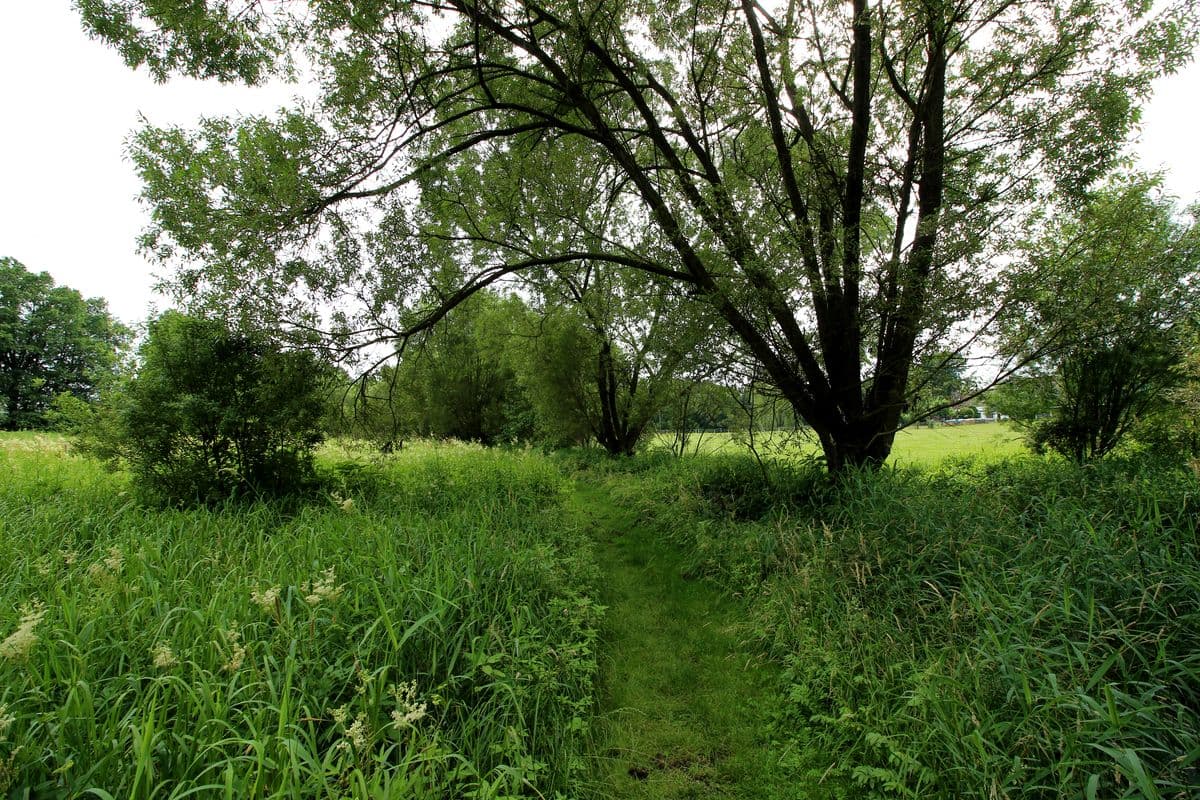 Am Wanderweg "Im Land der Esche"