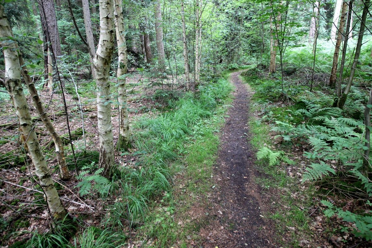 Wanderweg "Im Land der Esche"