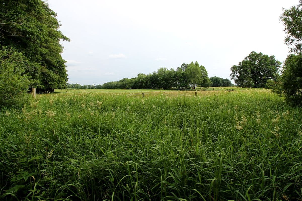 Am Wanderweg "Im Land der Esche"