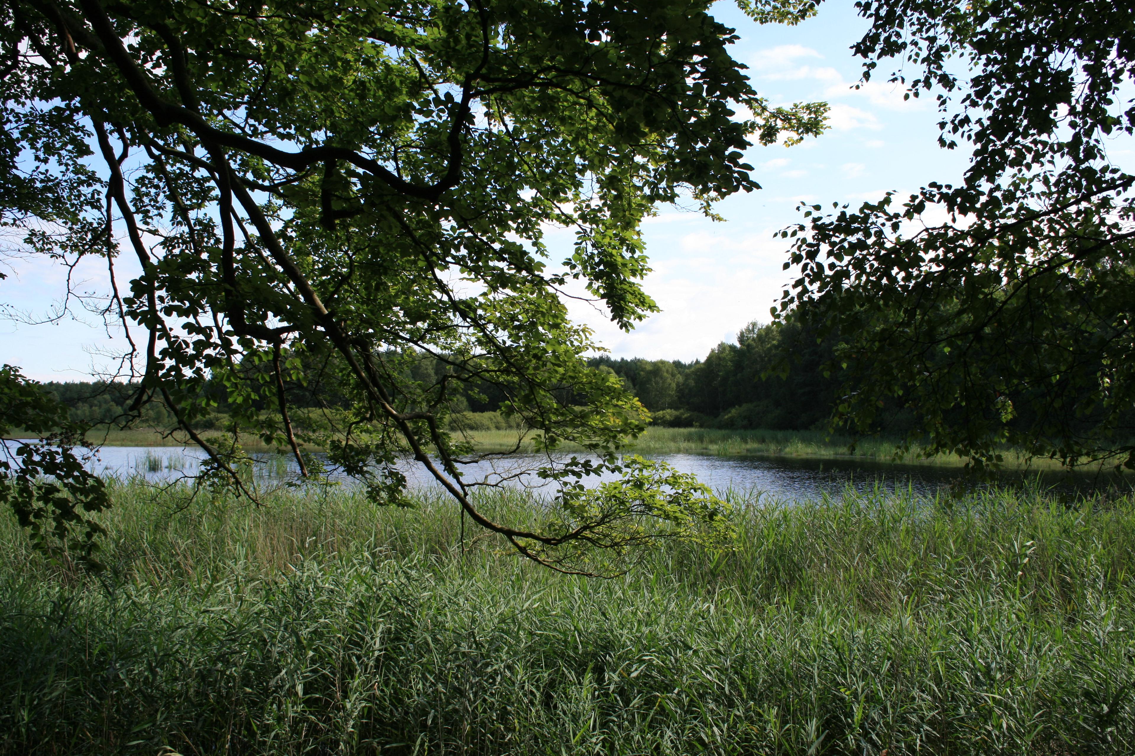Teich bei Wildeck