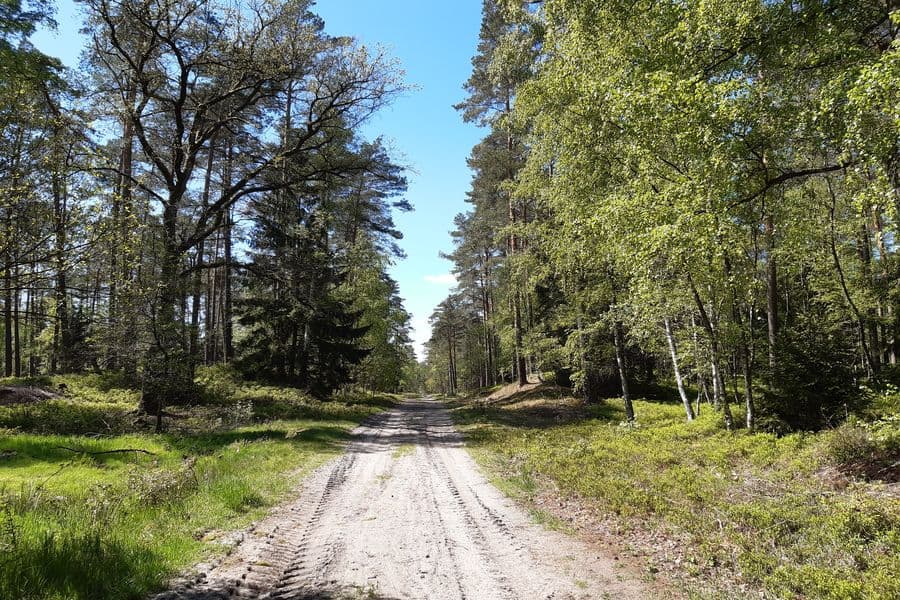 Sandiger Weg zwischen ehemaligen Dünen