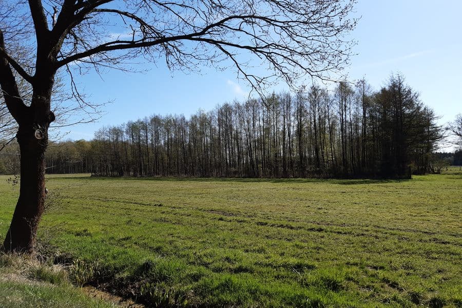 Große Wiesen am Wegesrand