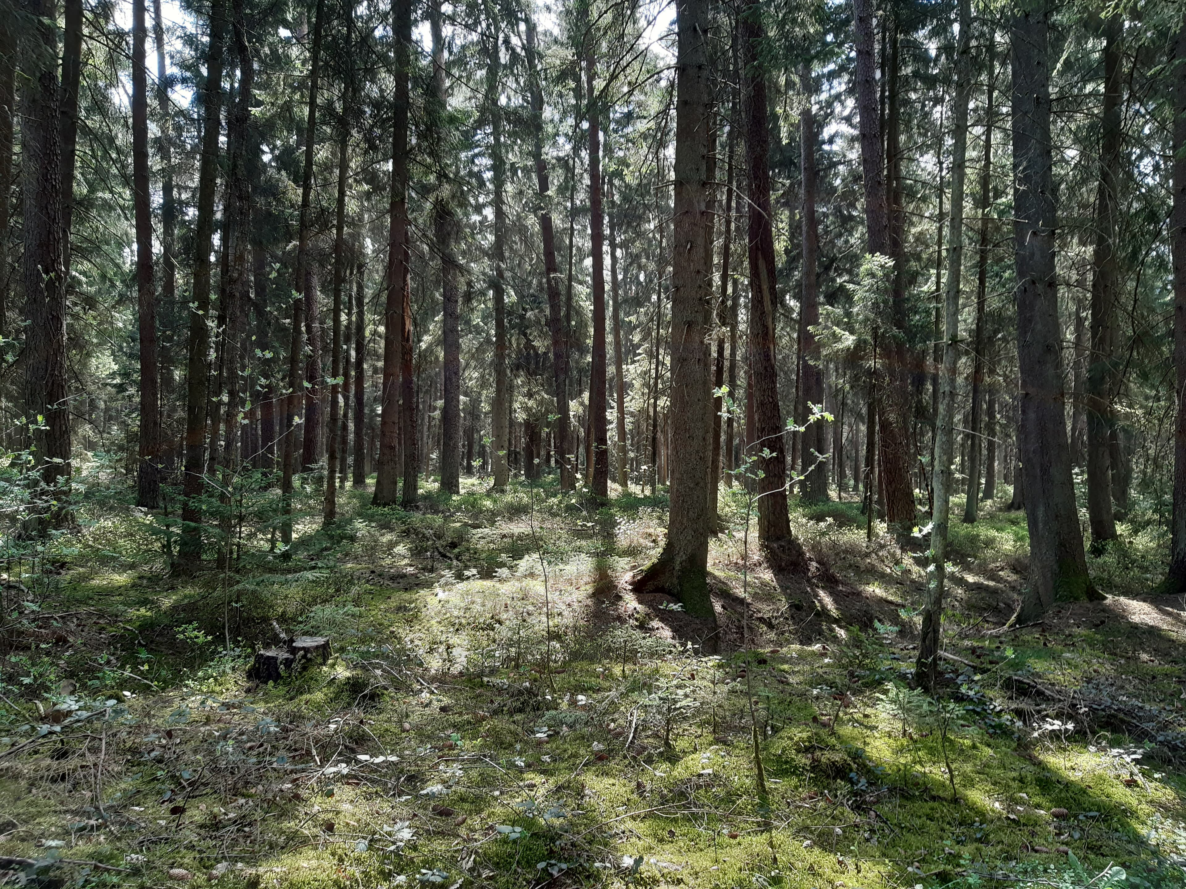 Beutzen liegt südlich vom Dorf Oldendorf