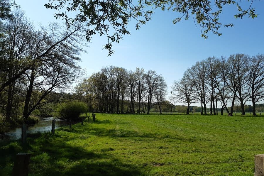 Die Örtze schlängelt sich durch die Landschaft