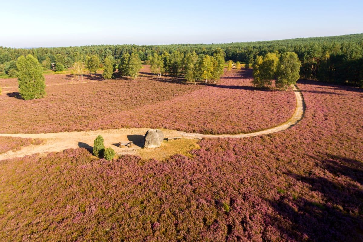 Angelbecksteich, Hermannsburg, Naturpark Südheide