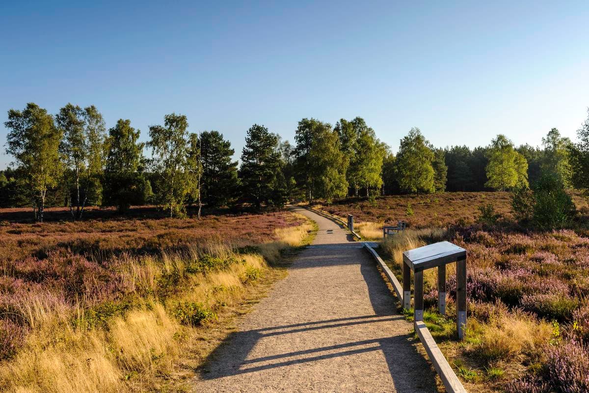 Wanderweg am Angelbecksteich