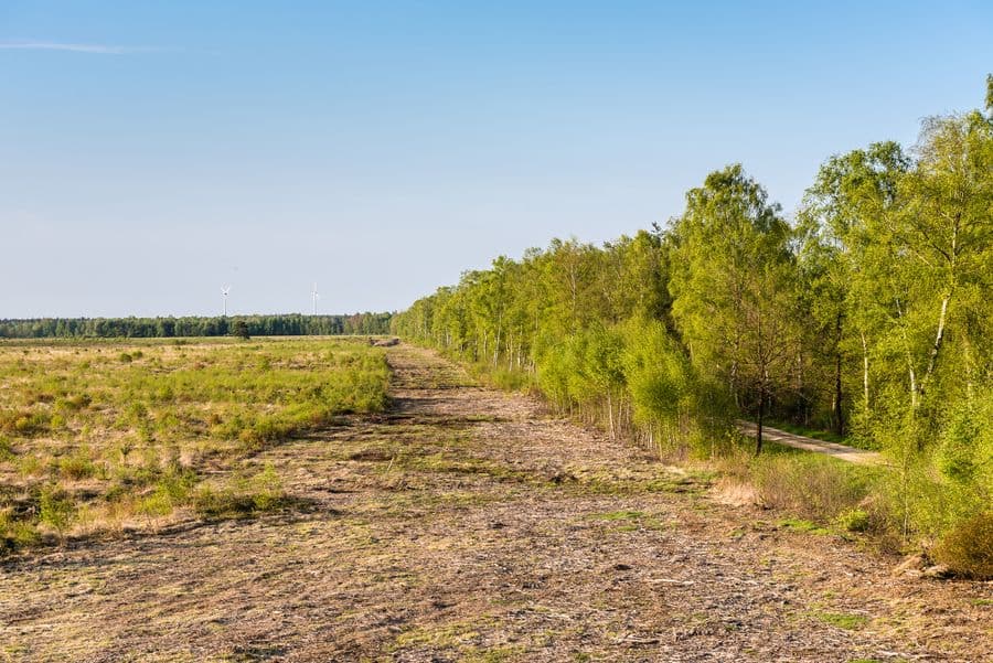 Weg zum Aussichtsturm