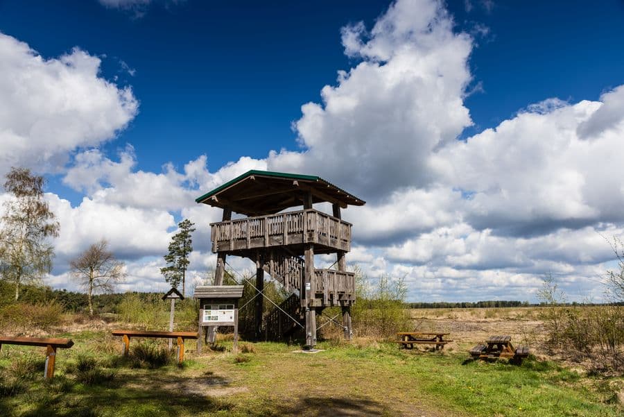 weiter Blick über das Moor