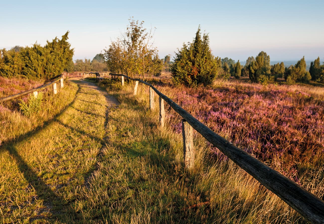 Wanderweg auf dem Wilseder Berg 