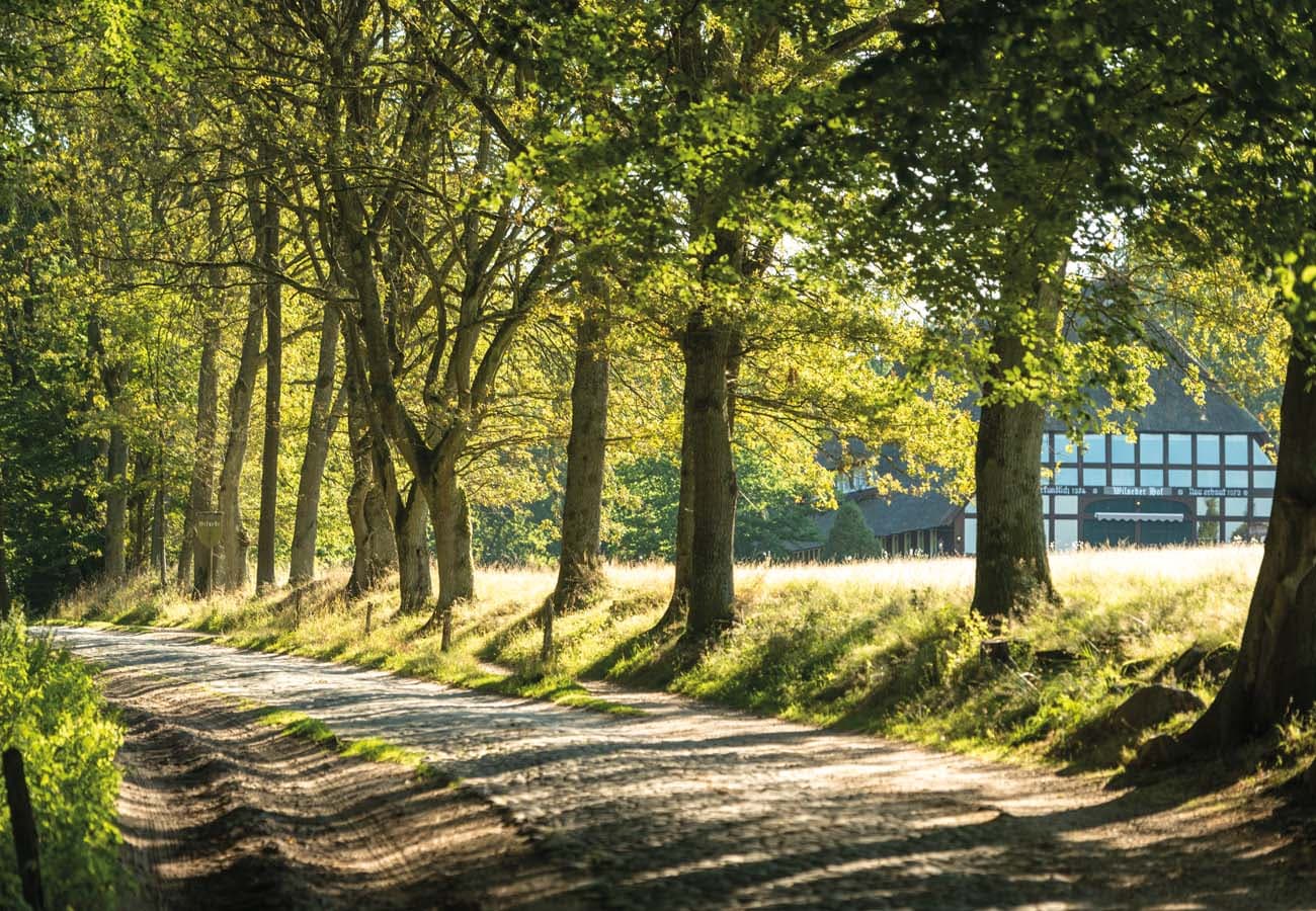 Wanderweg Ortseingang Wilsede im Naturschutzgebiet Lüneburger Heide