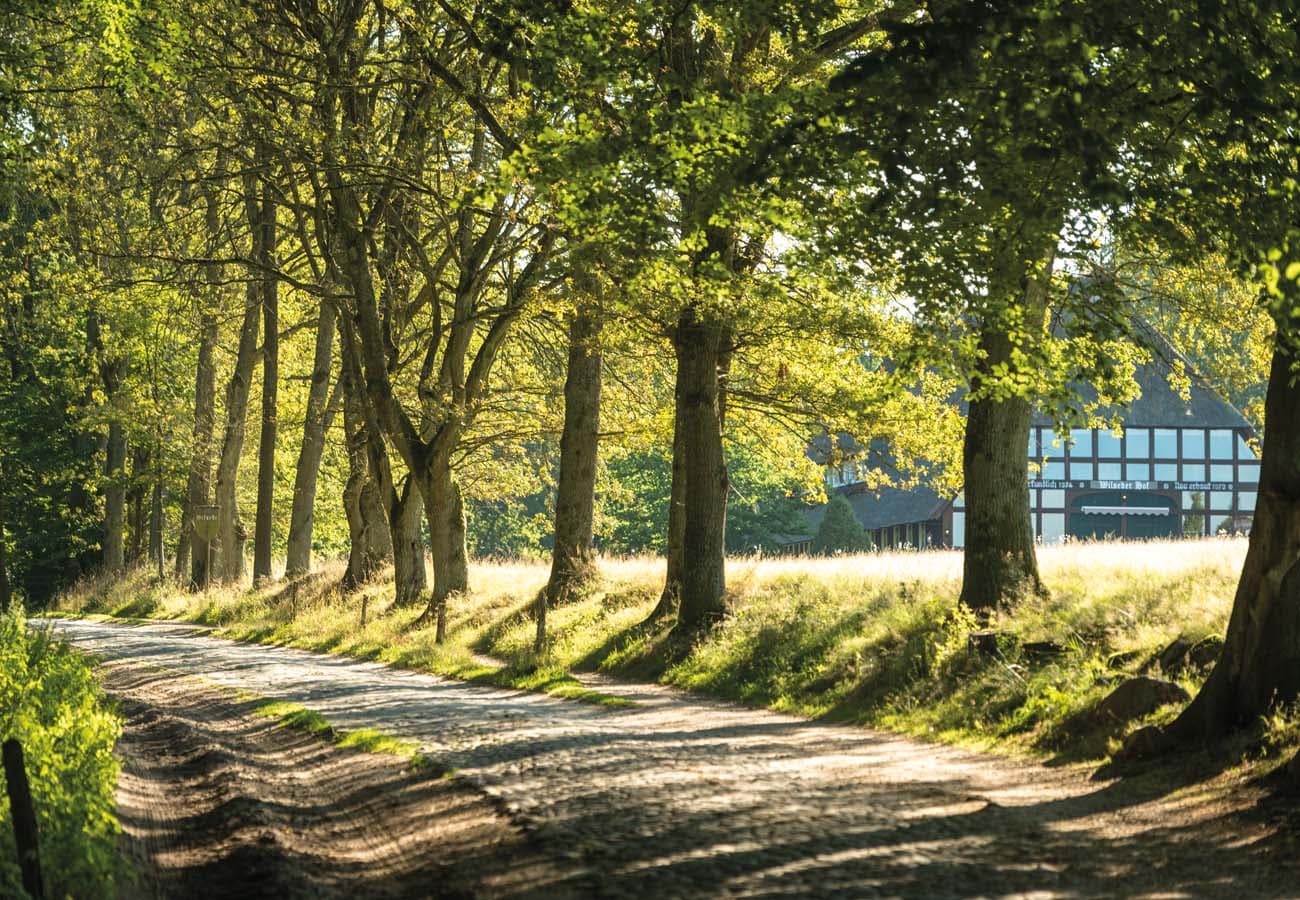 Wanderweg Ortseingang Wilsede