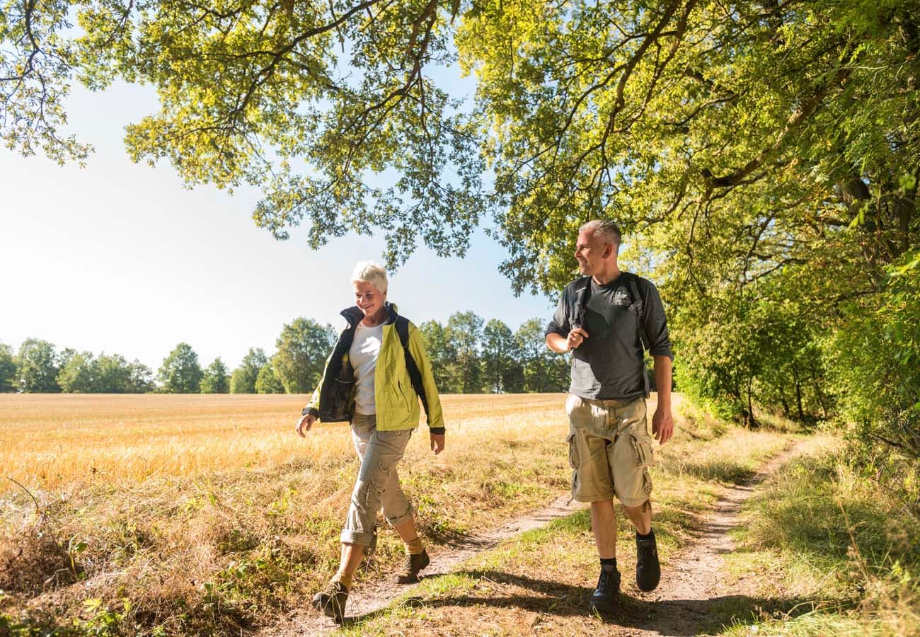 Jacobusweg Lüneburger Heide