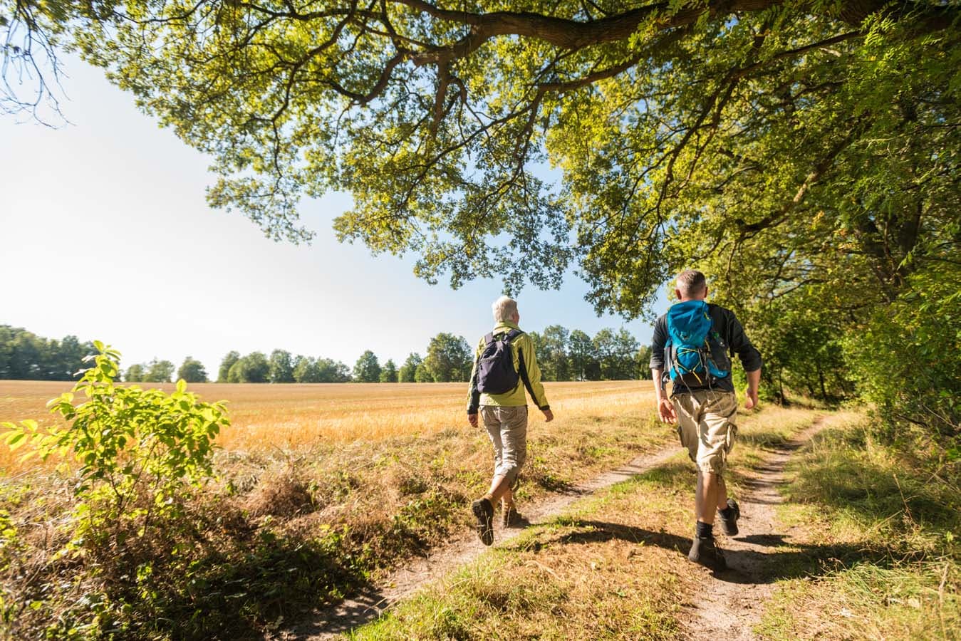 Wanderer auf dem Jacobusweg Lüneburger Heide