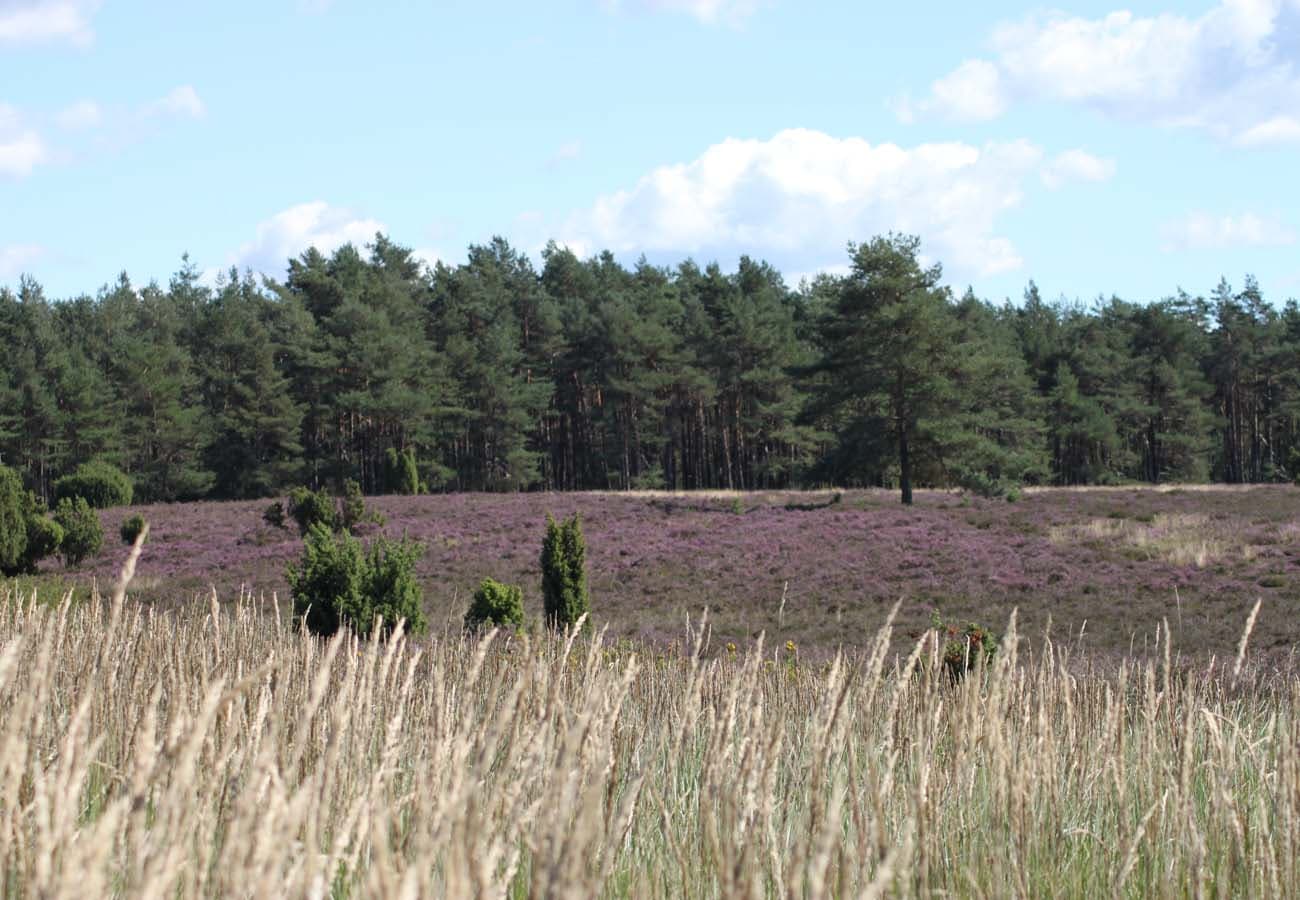 Krelinger Heide 