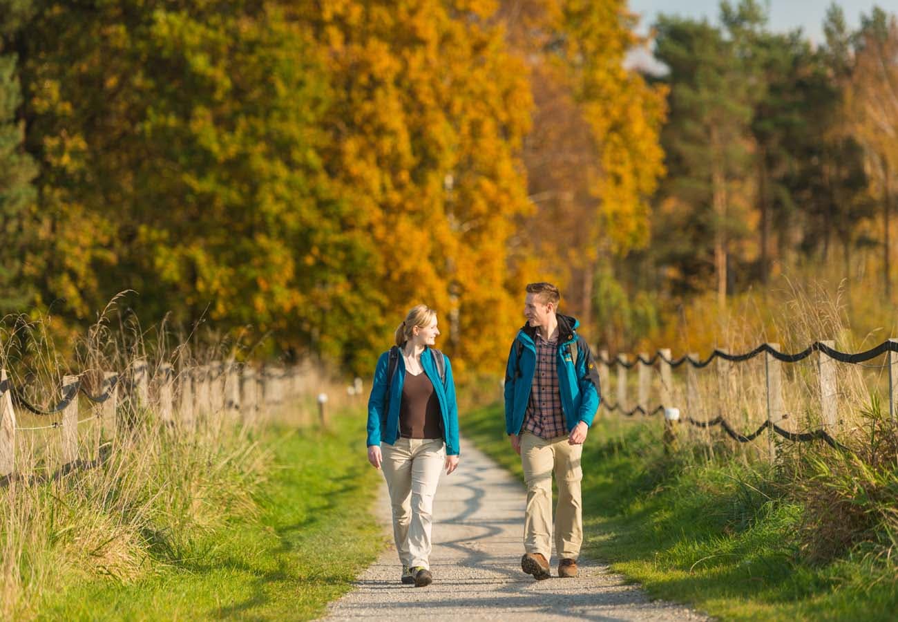 Wanderer auf dem Jacobusweg Lüneburger Heide im Aller-Leine-Tal in der Lüneburger Heide