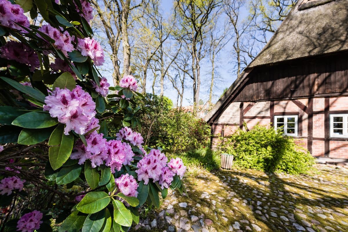 Fachwerkhaus, Jesteburg in der Nordheide