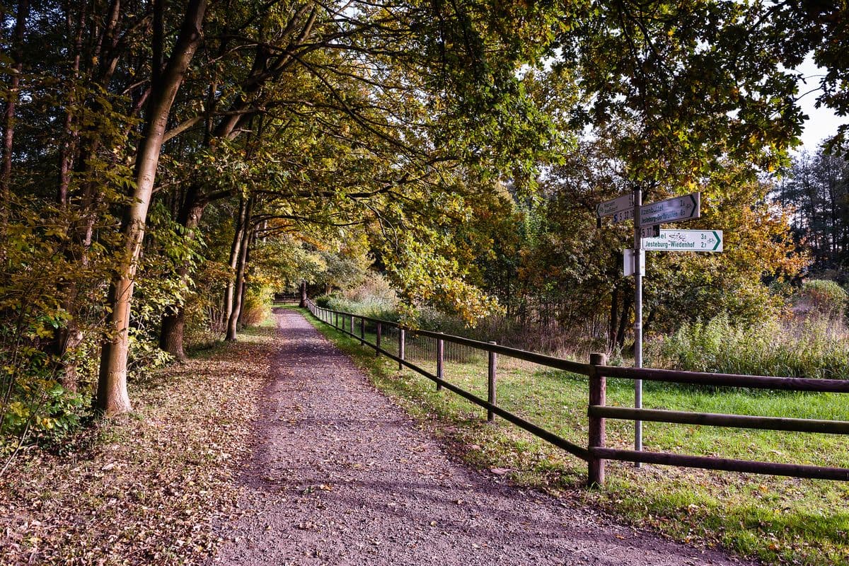 Jesteburg Seeve Radweg