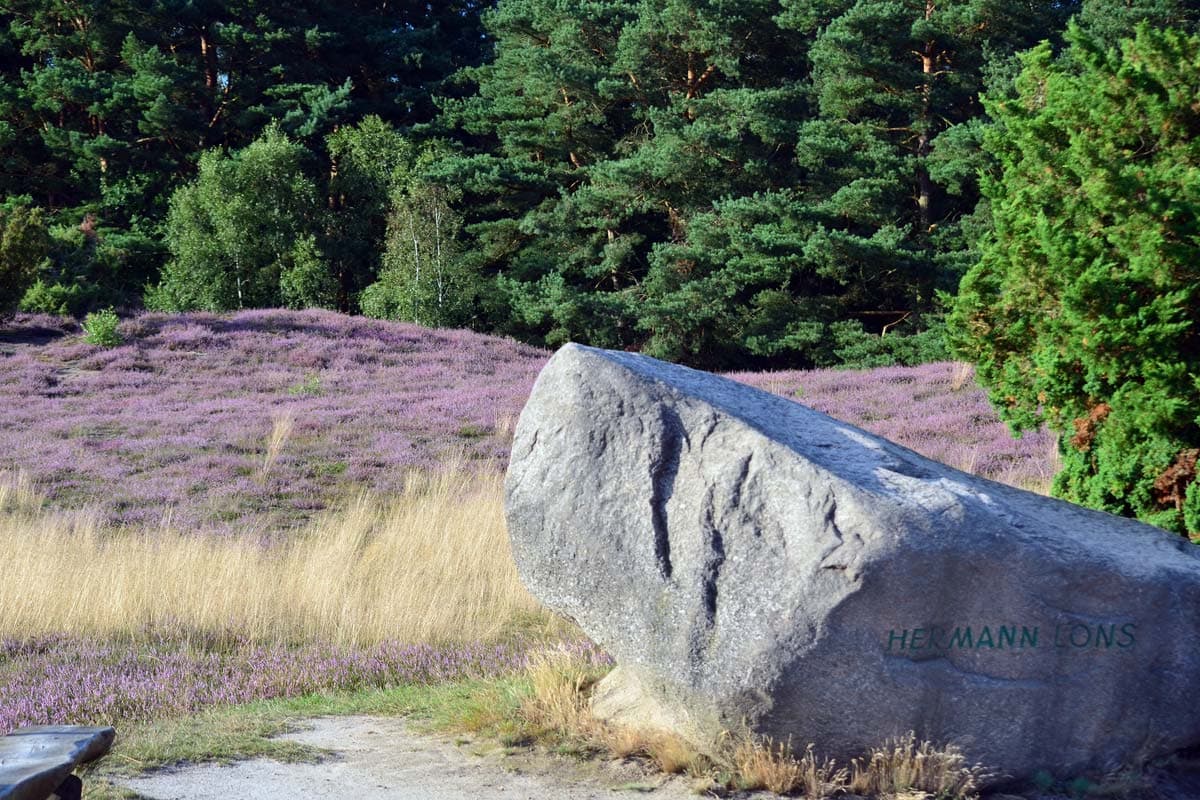 Der Löns Stein in der Heide von BAd Bevensen