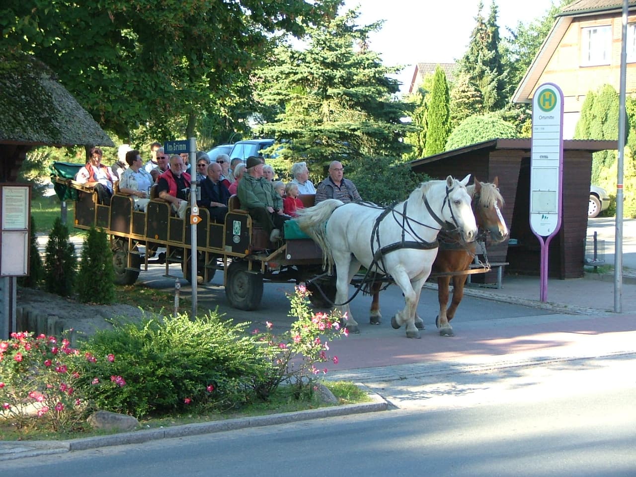 Bispingen Behringen