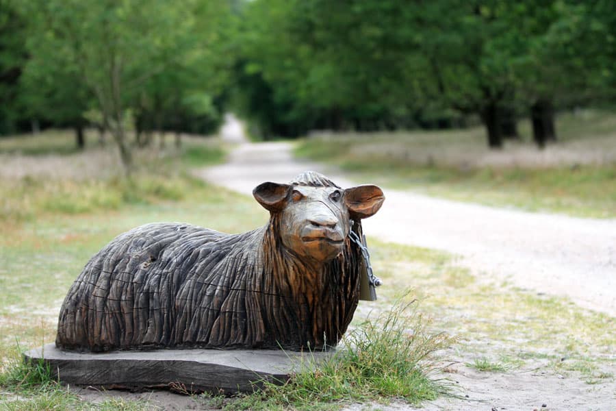 Am eingang zum pietzmoor steht eine heidschnucke aus holz