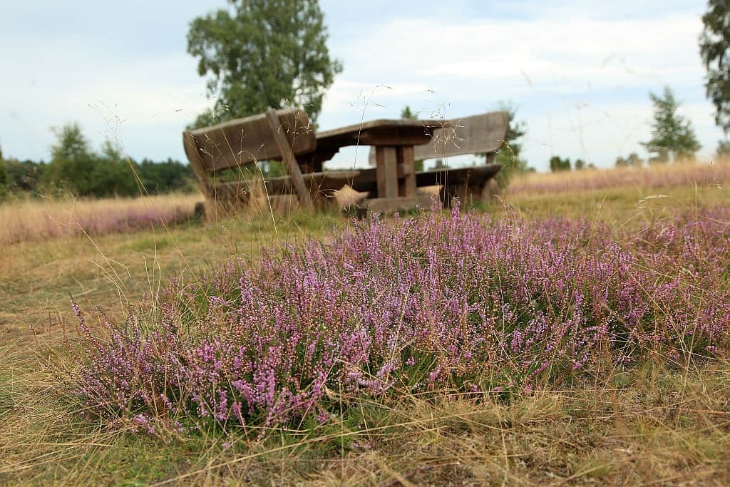 Sitzplatz