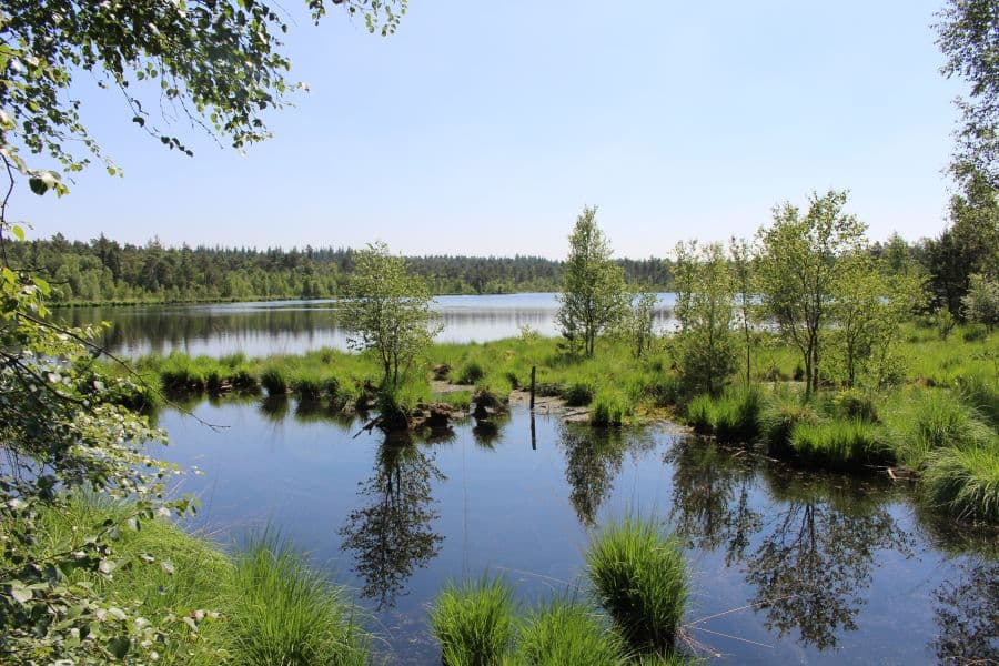 bei walsrode liegt der grundlose see