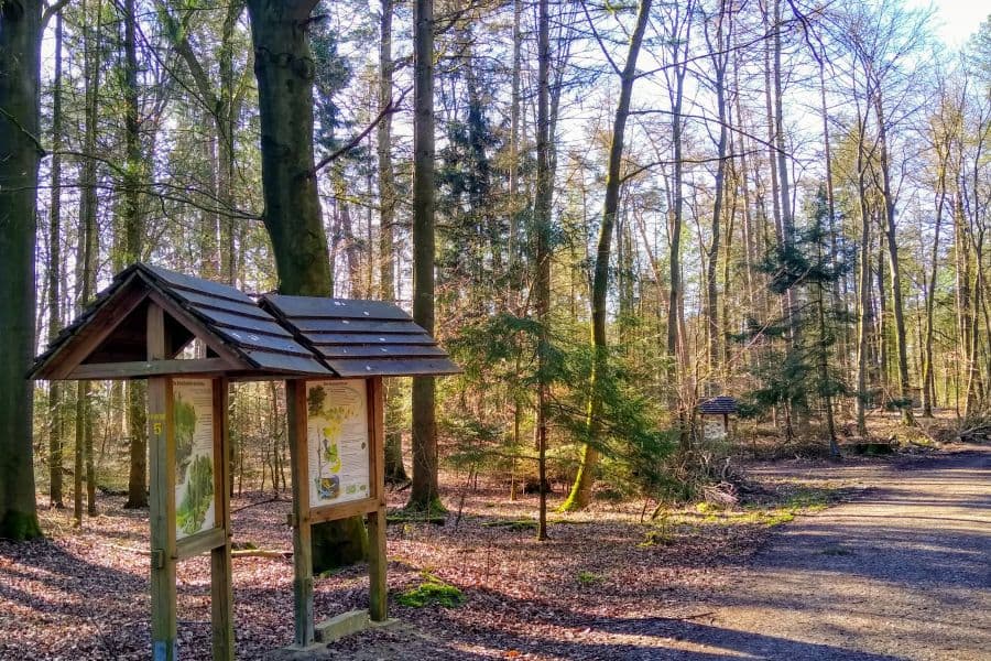 der wald nordsunder in walsrode