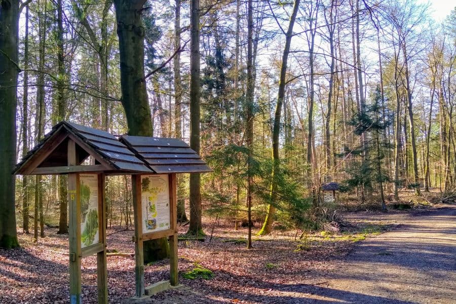 Das Waldgebiet Nordsunder in Walsrode