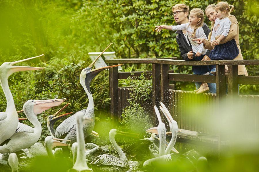Weltvogelpark in Walsrode