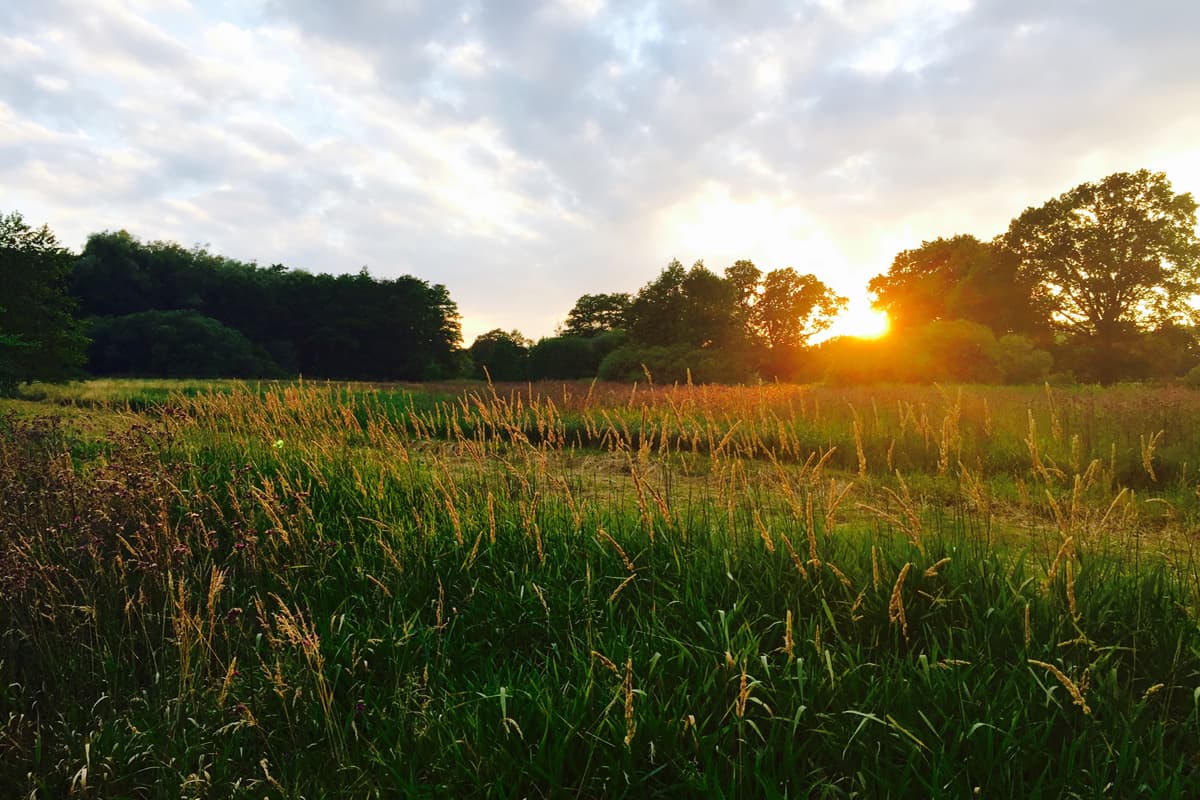 Sonnenuntergang auf den weiten Feldern der Nordheide bei Seevetal