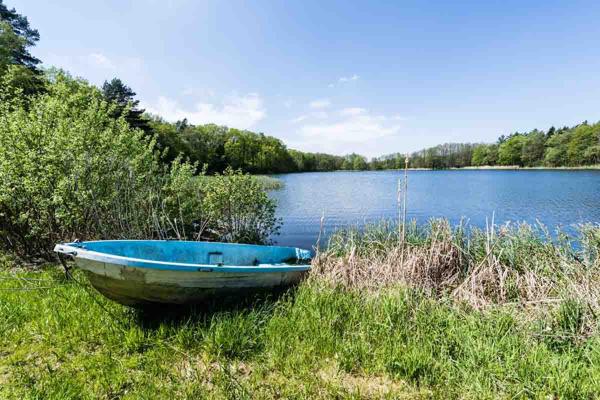 Appelbecker See Nordheide Lüneburger Heide Boot Natur