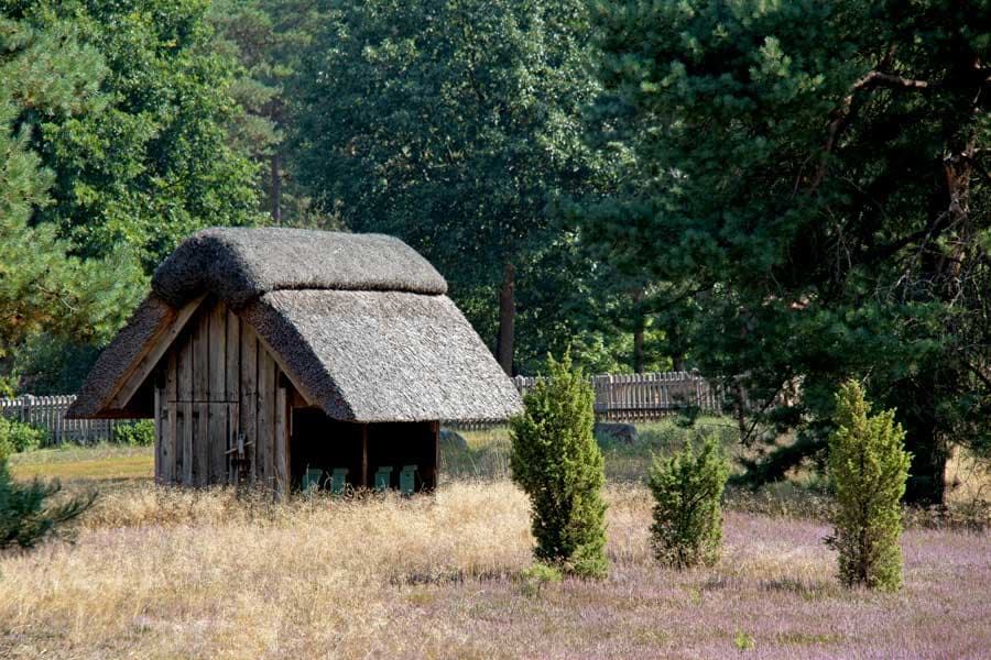 Neuenkirchen Lüneburger Heide