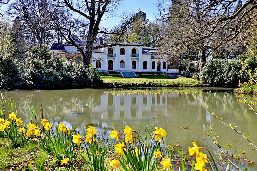 Osterglocken in Breidings Garten