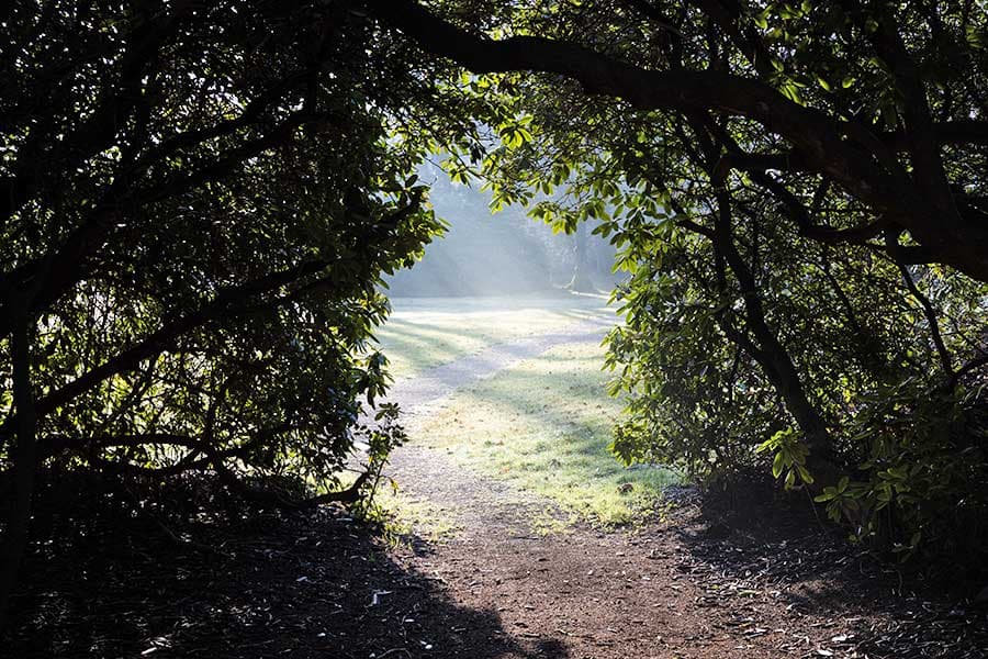 Breidings Garten Bäume