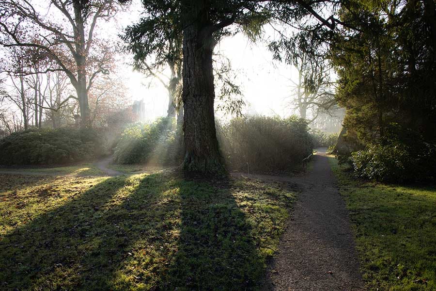 Sonnenstrahlen in Breidings Garten