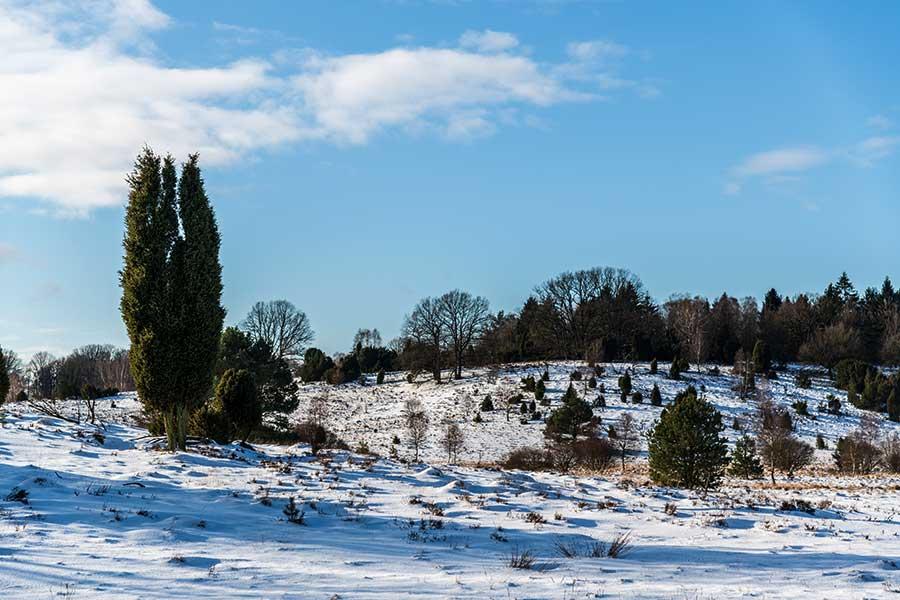 Blick auf den Wümmeberg im Winter