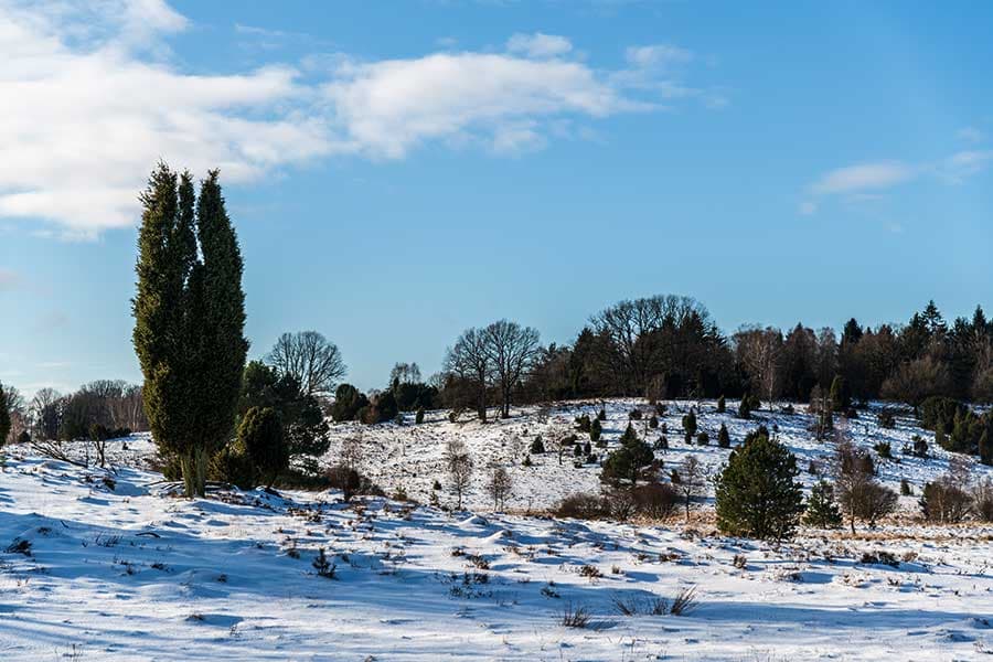 Wümmeberg mit Schnee